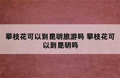 攀枝花可以到昆明旅游吗 攀枝花可以到昆明吗